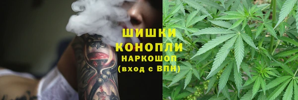 молекула духа Михайловка