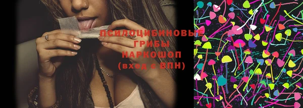 молекула духа Михайловка