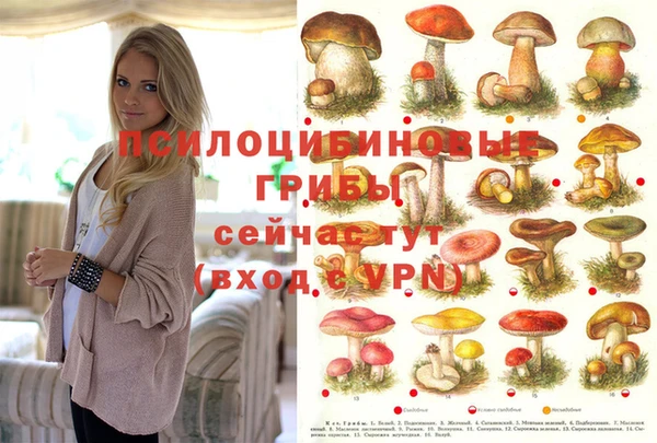 тгк Навашино
